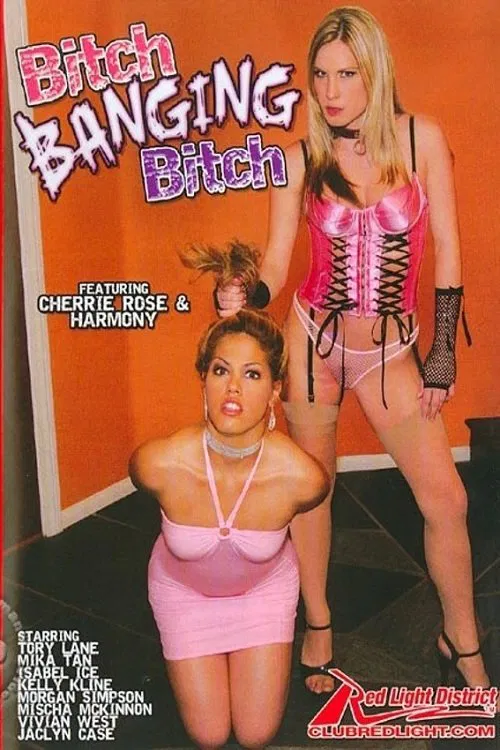 Bitch Banging Bitch poster