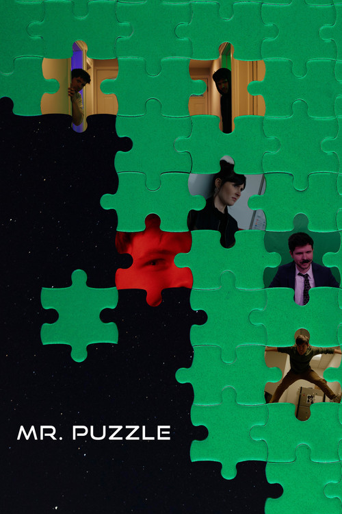 Mr. Puzzle poster