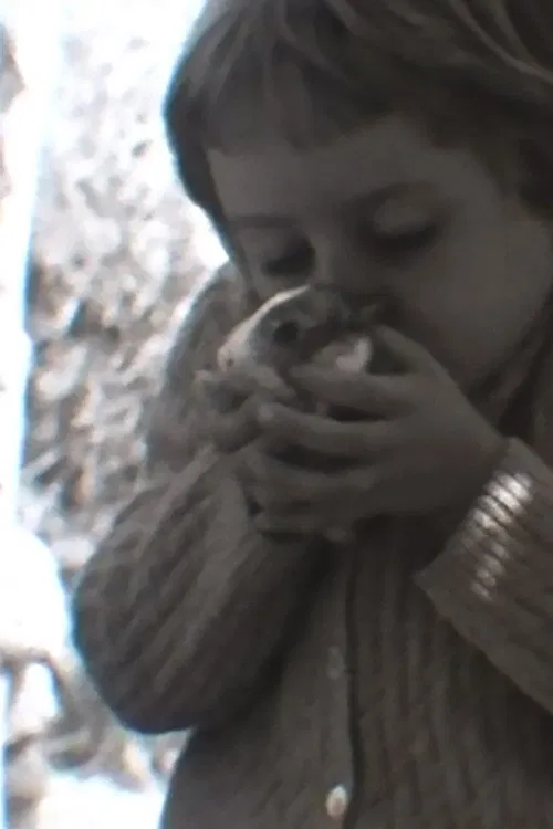 Coniglio, Leoni & circostanze varie poster