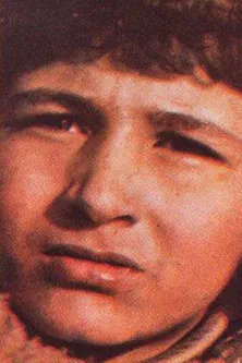 Polat A. Jöntürk profile