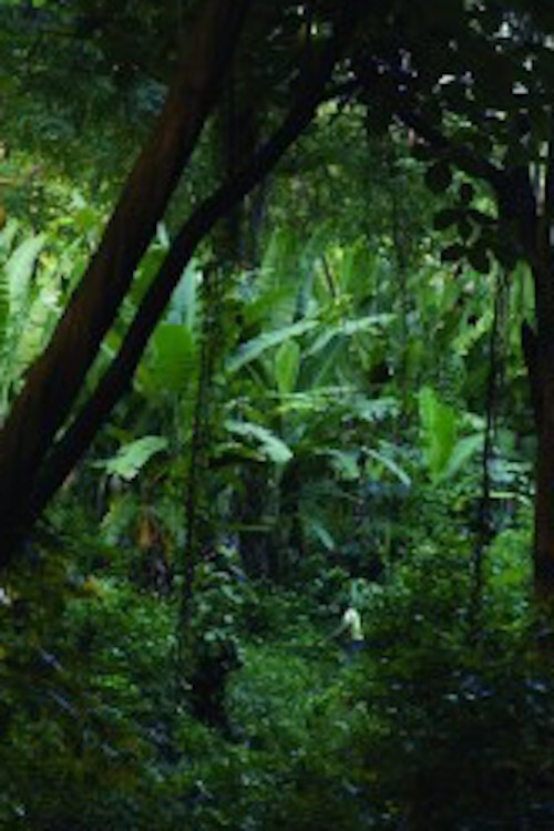 Soon It Will Be Dark poster