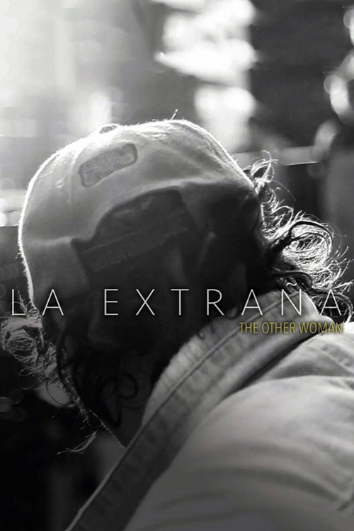 The Other Woman poster