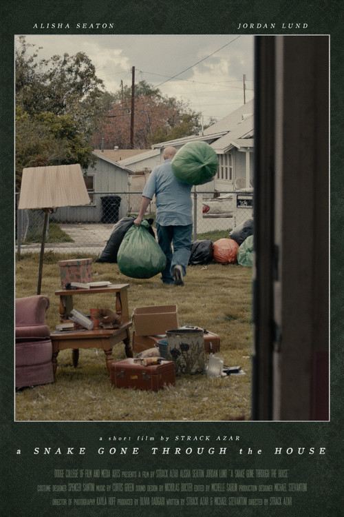 A Snake Gone Through the House poster