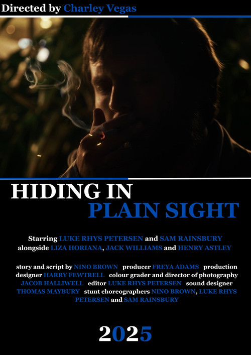 Hiding in Plain Sight poster