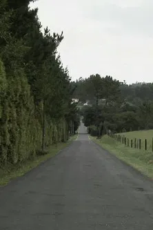Camiños de Bardaos poster