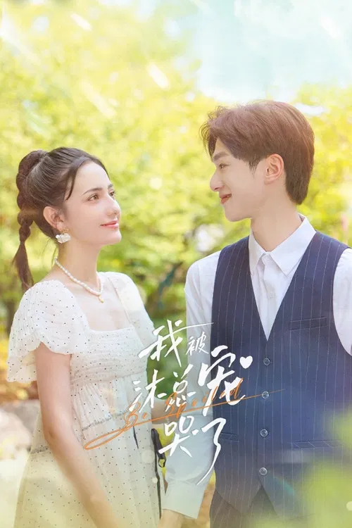 我被沐总宠哭了 poster