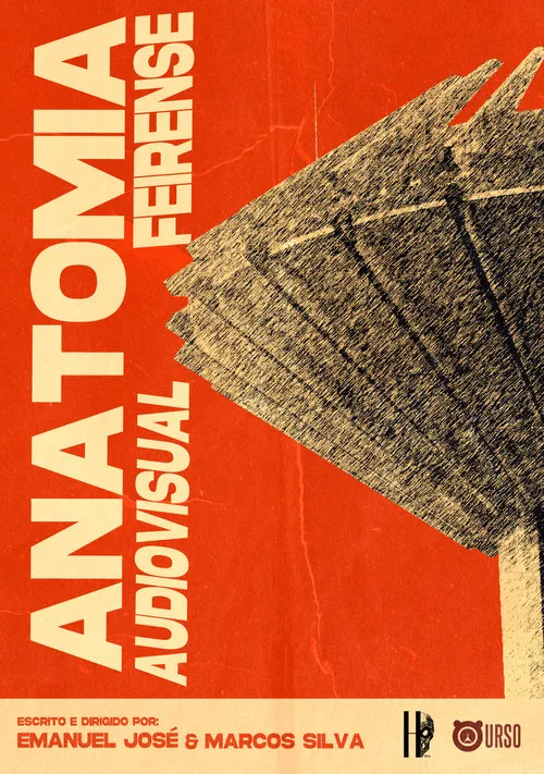 Anatomia Audiovisual Feirense poster