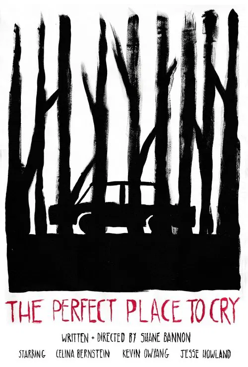The Perfect Place to Cry poster