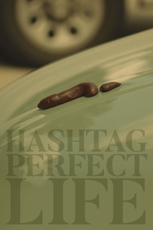 Hashtag Perfect Life poster