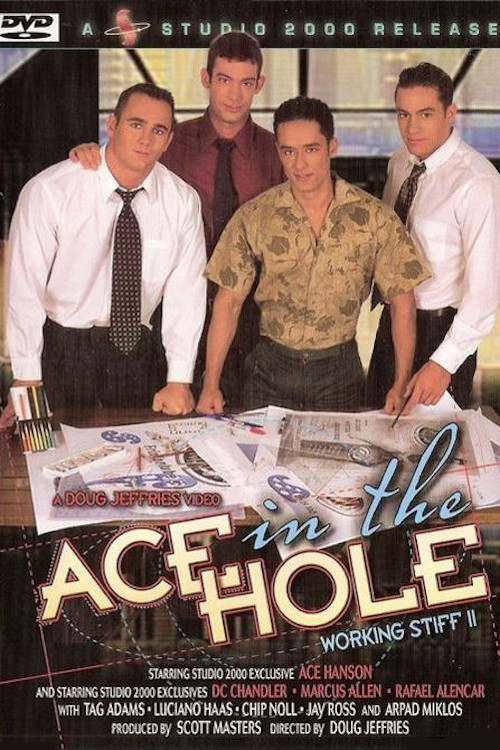 Ace in the Hole: Working Stiff 2 poster