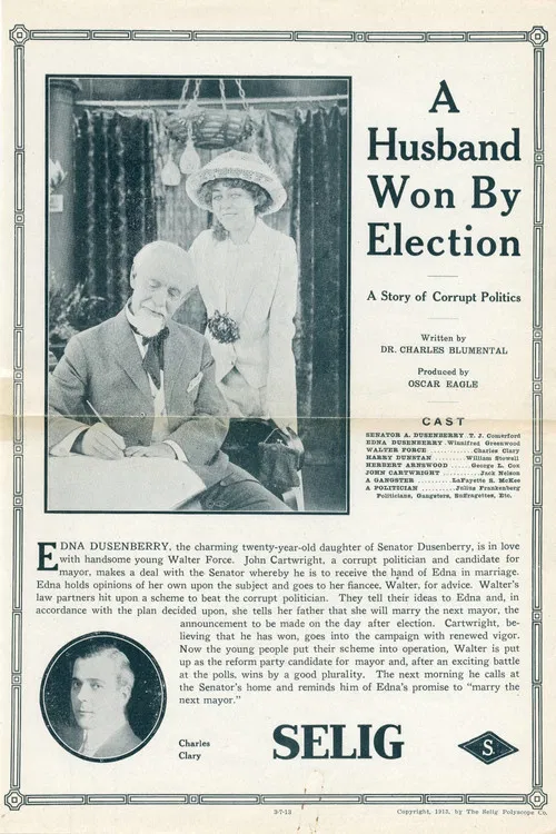 A Husband Won by Election poster