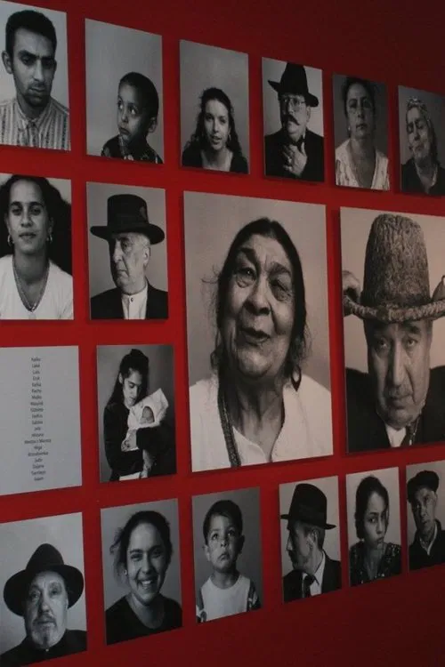 The Last Romani in Auschwitz poster