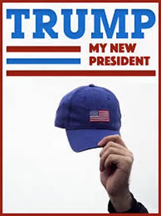 Trump: My New President poster