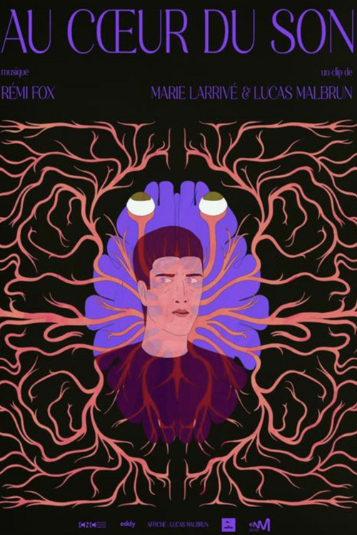 Au cœur du son poster