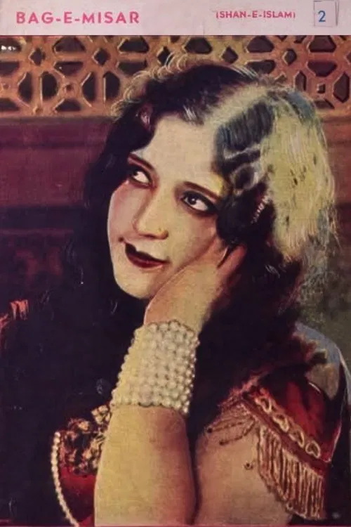 Baag-E-Misar poster