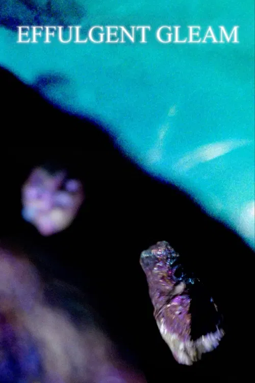 Effulgent Gleam poster