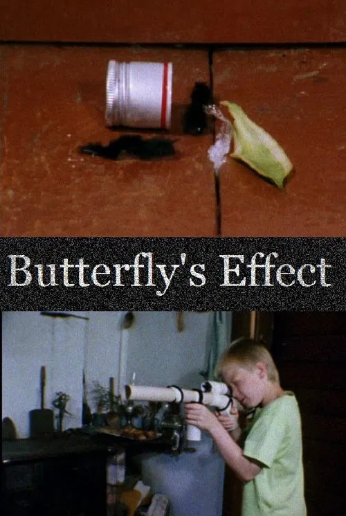 Butterfly's Effect poster
