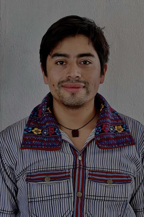 Enrique Salanic profile