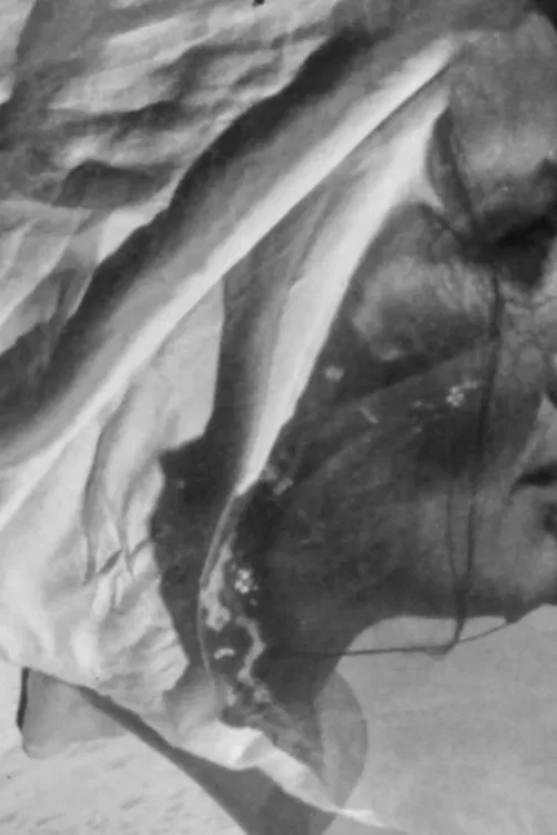 Cabo San Lucas poster