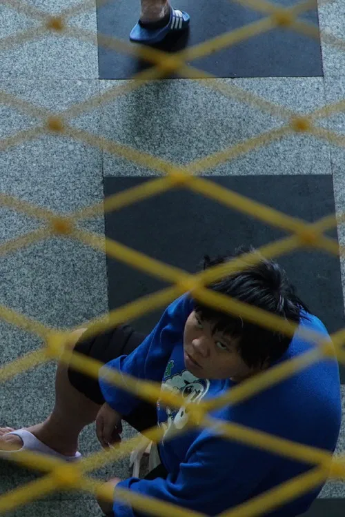 Spawning Migration poster