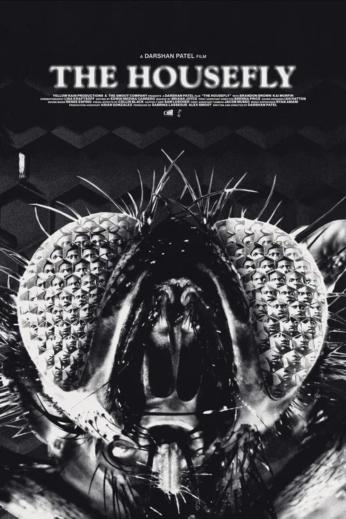 The Housefly poster