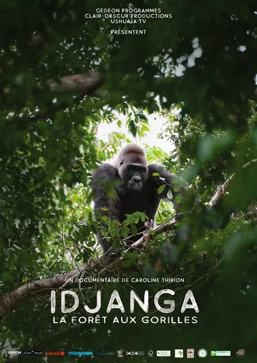 Idjanga, la forêt aux gorilles poster