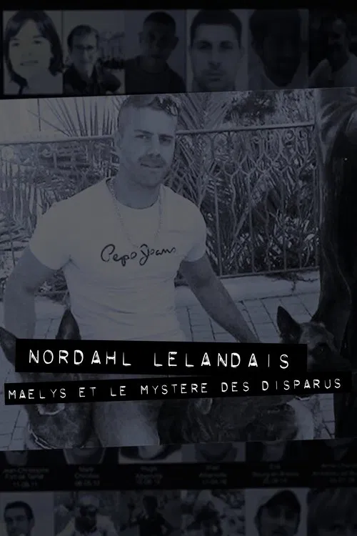 Dans la tête de Nordahl Lelandais poster