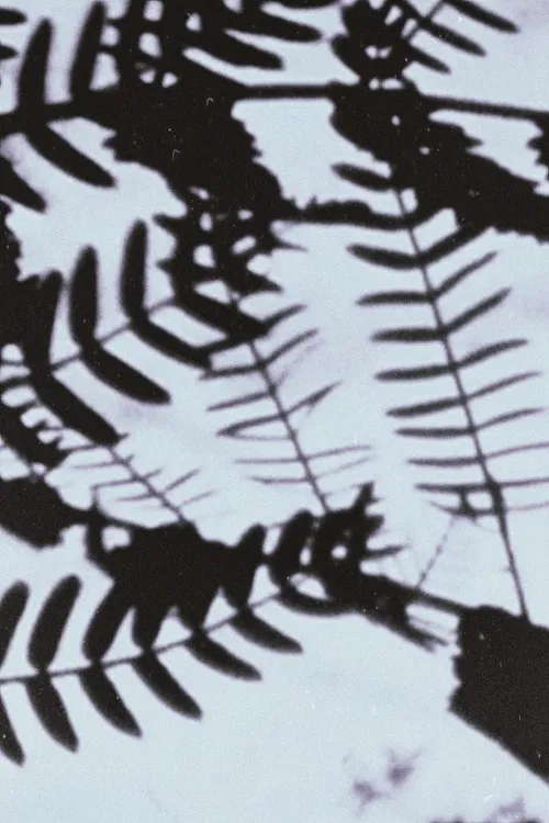 Transparent Things poster