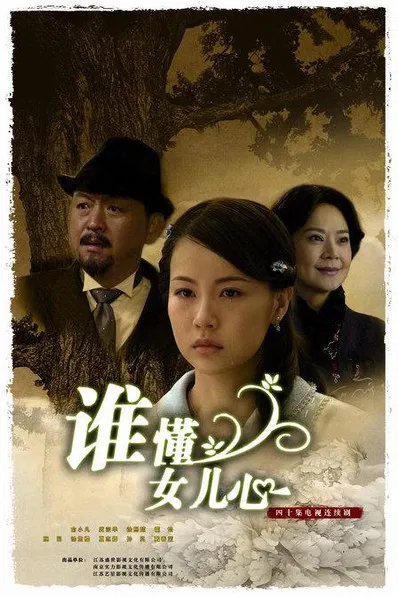 谁懂女儿心 poster