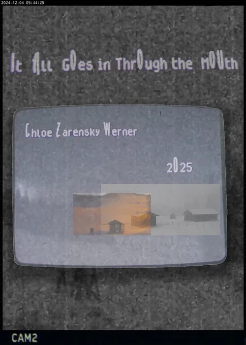 It All Goes In Through The Mouth poster