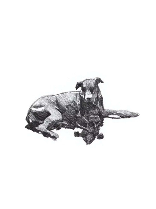 my first skate video poster