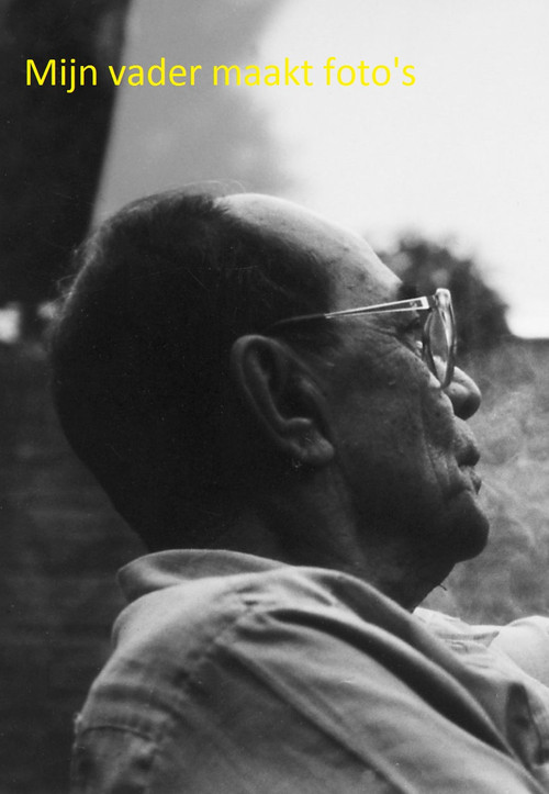 My Father Takes Pictures poster