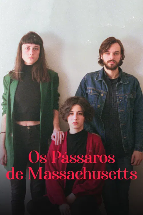 Os Pássaros de Massachusetts poster