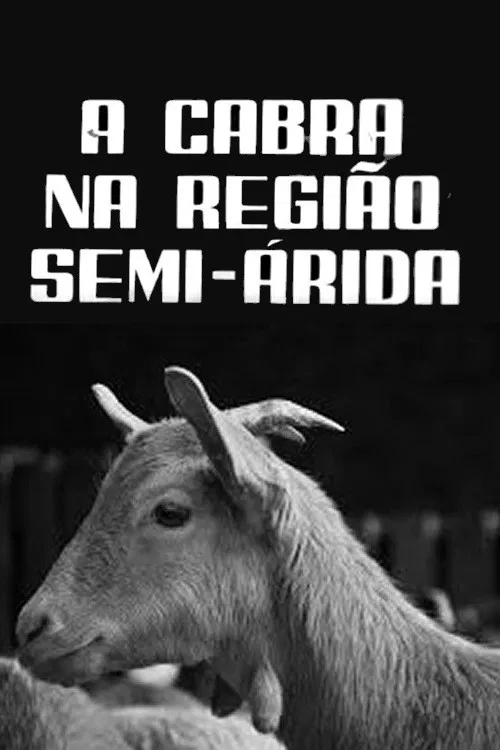 A Cabra na Região Semi-Árida poster