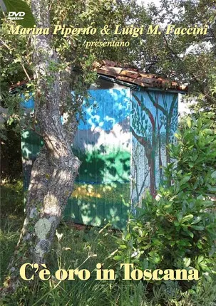 C’è oro in Toscana poster