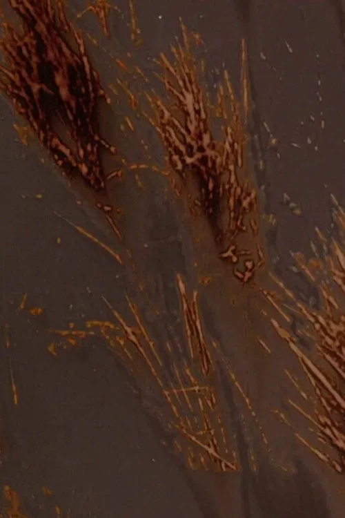 Terre rouge terre noire poster