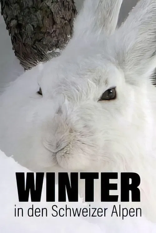 Winter in den Schweizer Alpen poster