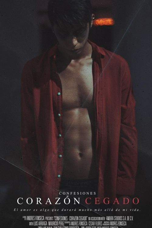 Confesiones: Corazón cegado poster