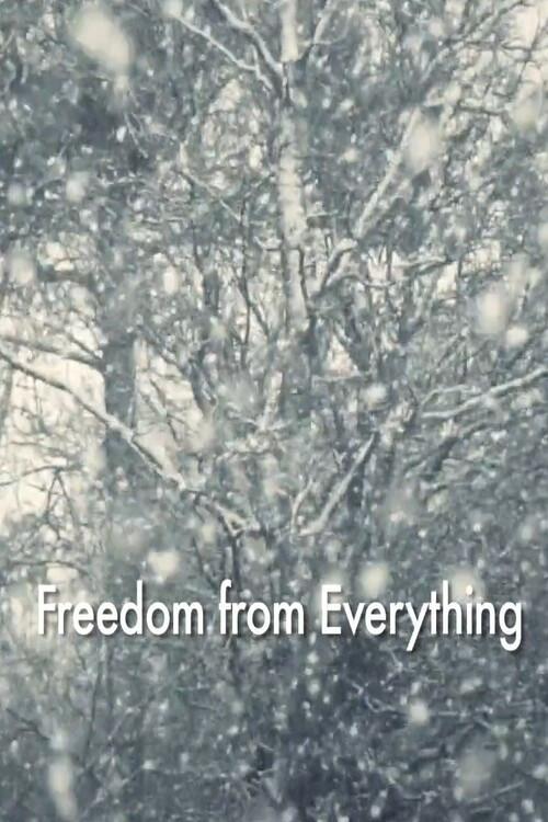 Freedom from Everything poster