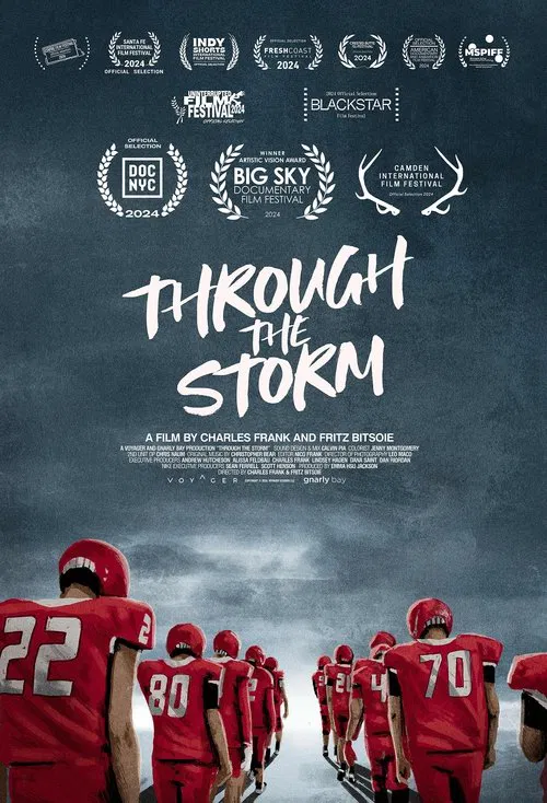 Through the Storm poster
