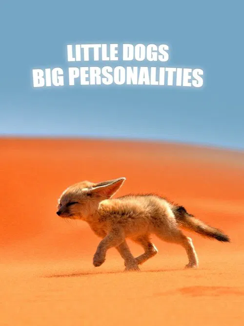 Little Dogs, Big Personalities poster