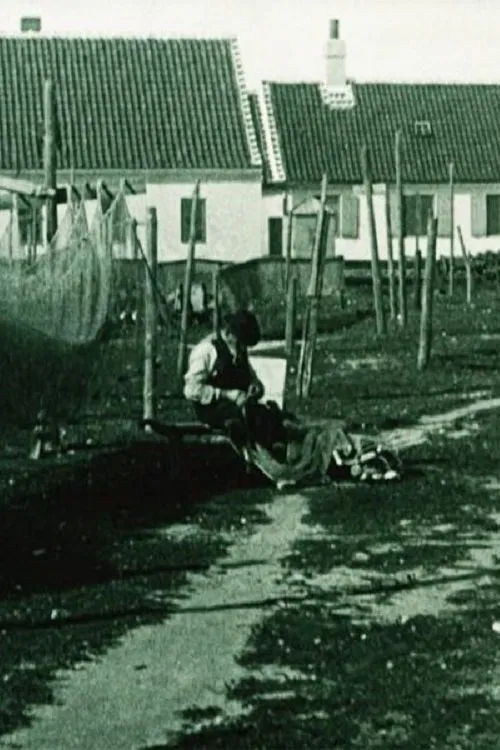 At the Sea Shore poster