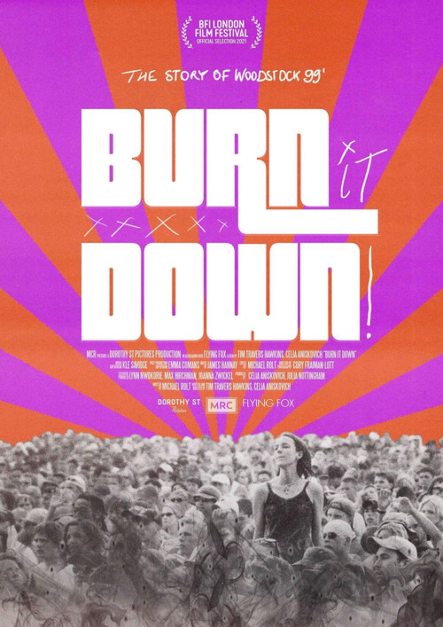 BURN IT DOWN! poster
