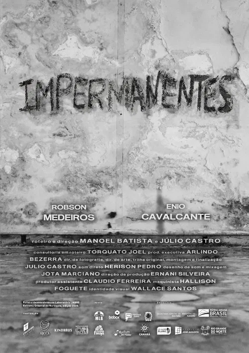 Impermanentes poster