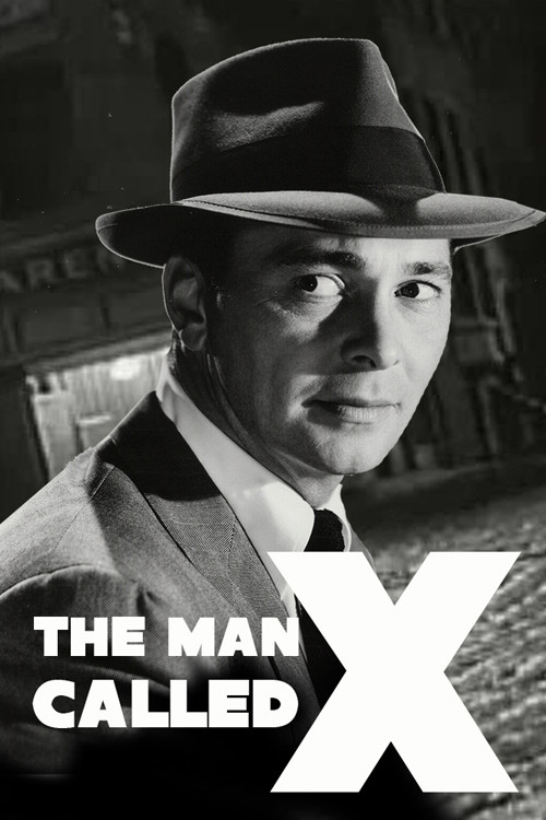 The Man Called X poster