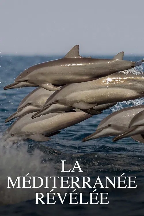 La Méditerranée révélée poster