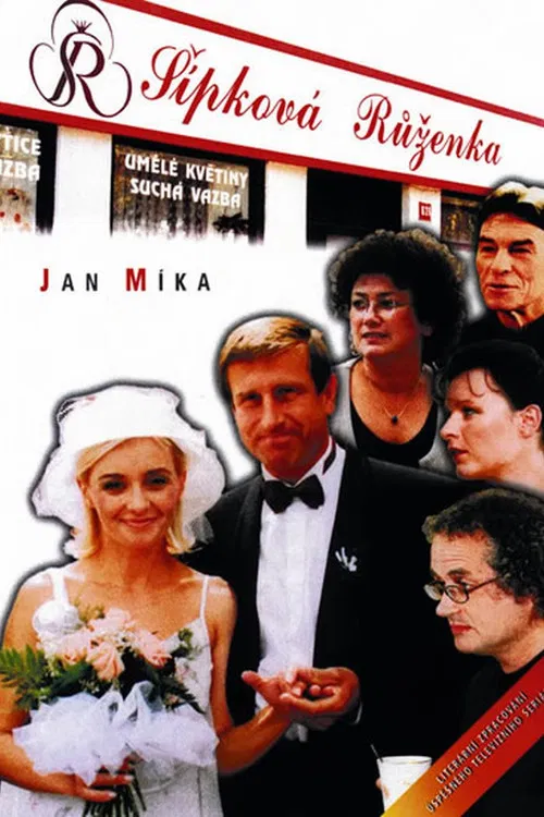 Šípková Růženka poster