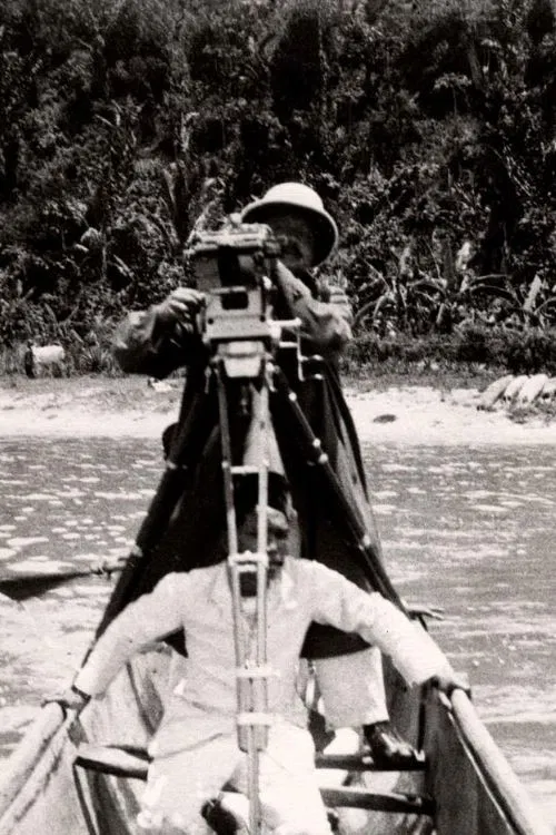 Inlandsche Bedrijven poster