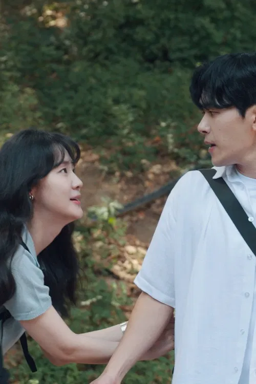 Days in Colors poster