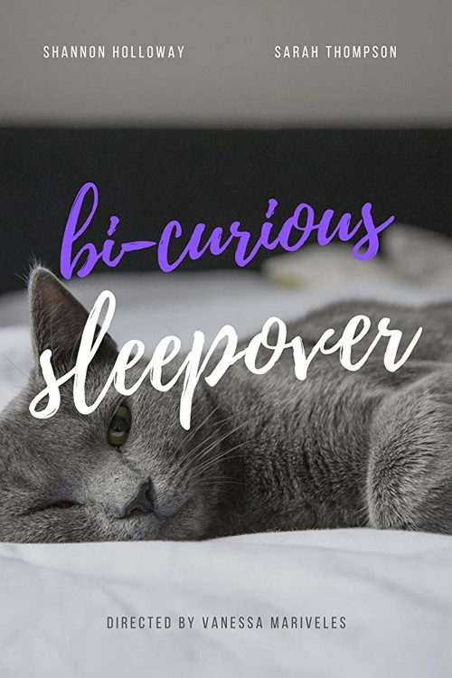 Bi-curious Sleepover poster